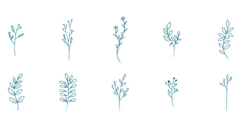 flat aesthetic floral leaves drawn element