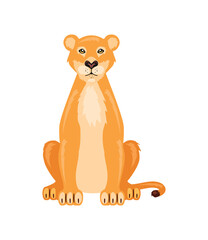 lion female animal isolated