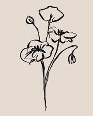 flower silhouette line sketch illustration