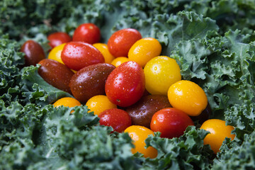 close up of yellow and red cherry tomatoes on green kale leaves