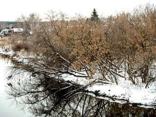 Tilted and fallen trees on the riverbank in winter, countryside