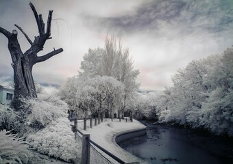 paisaje en dia de invierno nublado