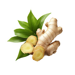 Fresh ginger root with green leaves isolated on black background.