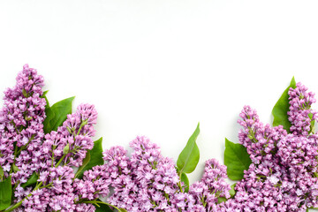 Lilac flowers on white background. Beautiful spring flowers. Floral composition, Flat lay, top view, copy space. Floral background for Birthday, Spring Holiday, Mother's day, Women's day, Wedding