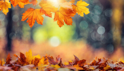 Colorful universal natural autumn background for design with orange leaves in autumn park 