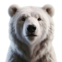 Obraz premium a white bear, high quality realistic, transparent background, png