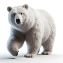 Fototapeta premium a white bear, high quality realistic