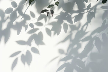White wall with shadow silhouettes of branches and tropical leaves under the soft morning sunlight,...