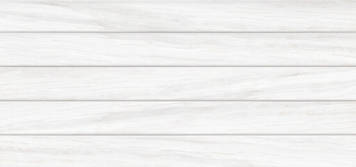 White background 2024 1