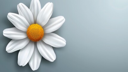   Close-up of a white flower with a yellow center against a blue and gray backdrop Insert text here - Powered by Adobe