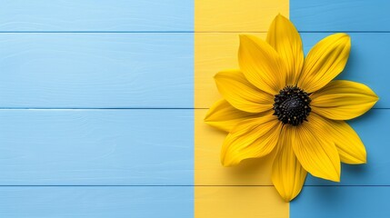   A sunflower, yellow against the blue-yellow striped wood, nestles beside blue-yellow walls