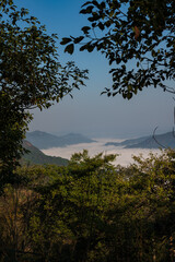 Yunnan Province Jingmai Mountain Cloud Sea