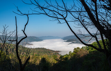 Yunnan Province Jingmai Mountain Cloud Sea