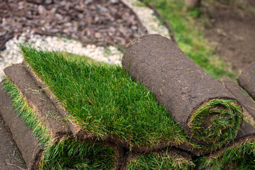 Roll of fresh sod grass planted on a newly landscaped lawn
