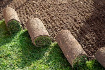 Roll of fresh sod grass planted on a newly landscaped lawn