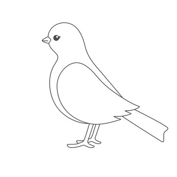 recommend clip art: Bird. Black and white image for drawing. Coloring page for kids.