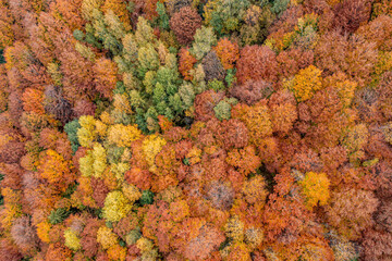 Wieża Koziarz, Małopolskie, Poland © Maciej G. Szling
