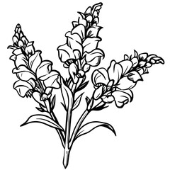 Snapdragon flower outline illustration coloring book page design, 
Snapdragon flower black and white line art drawing coloring book pages for children and adults
