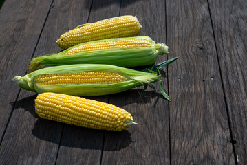 Close up view of raw corn cobs on wooden surface
