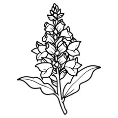 Snapdragon flower outline illustration coloring book page design, 
Snapdragon flower black and white line art drawing coloring book pages for children and adults