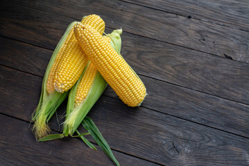 Fresh corn on cobs on rustic wooden table, closeup. Top view with copy space