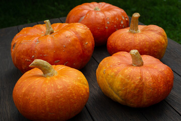 Obraz premium Close up view of cut pumpkin on wooden surface and nature background. Copy space