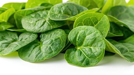 A close-up image of a handful of fresh spinach leaves. The leaves are green and have a smooth texture. They are arranged in a pile on a white background. - Powered by Adobe