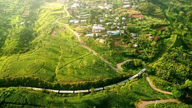 Train winds through lush Haputale mountains among vibrant green tea fields. Aerial shot captures scenic travel in Sri Lanka countryside. Tourism and agriculture blend in a tranquil landscape.
