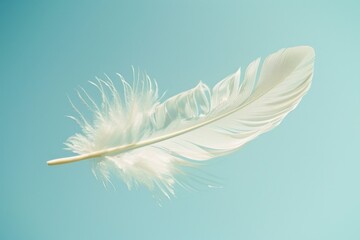 White feather drifting in blue sky