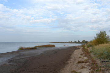 The coast of the Curonian Lagoon. Kaliningrad region