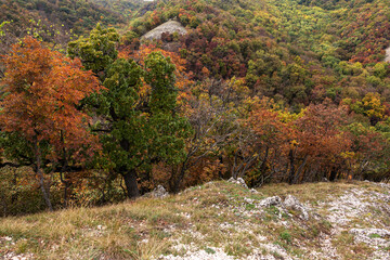 Landscape in the mountains in autumn, rock in the foreground.