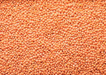 Orange raw healthy organic lentils grain seeds textured background.Macro.