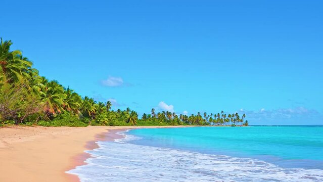 Landscape of empty wild beach with yellow sand and turquoise ocean. Sea coast with tall palms. Idyllic Dominican beach. Vacation on the world's best beaches. Palm Island Paradise.