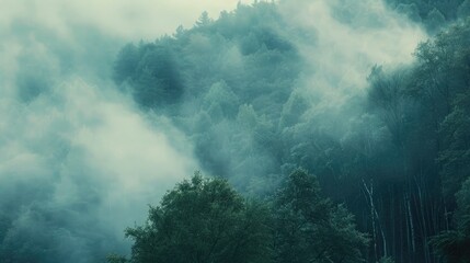 A dense fog rolling over a dense forest, evoking a sense of mystery and tranquility in nature. - Powered by Adobe