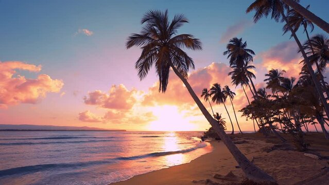 Hawaiian palm beach close up. Panoramic beach sunset landscape. Inspiring tropical beach seascape skyline. Orange and gold sunset sky. Calm relaxing sunny summer mood. Holiday vacation.