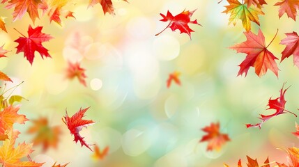 Floating autumn leaves with warm backlighting, perfect for seasonal and nature-related content.