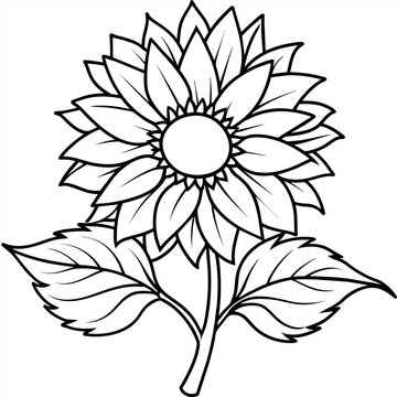 recommend clip art: Sunflower flower outline illustration coloring book page design, 
                    Sunflower flower black and white line art drawing coloring book pages for children and adults