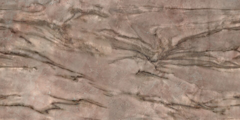 Petrified dinosaur remains in the mountain parks.