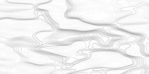 Background of the topographic map. Topographic map lines, contour background. 