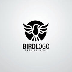 Bird logo designs 