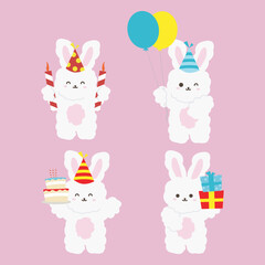 cute birthday rabbit set