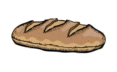 Vector illustration of a sourdough bread