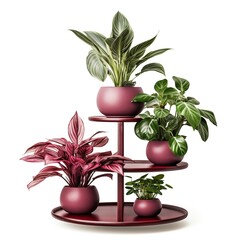 Plant stand maroon