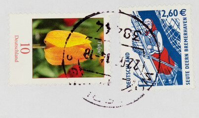 stamp vintage retro old paper bird post letter mail yellow tulip flower