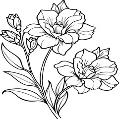 Freesia Flower Coloring Page. Flowers outline for coloring book. Freesia Elysium line art