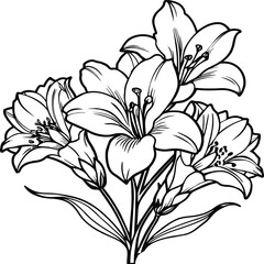 Freesia Flower Coloring Page. Flowers outline for coloring book. Freesia Elysium line art