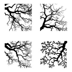 Majestic Oak A Silhouette Symphony