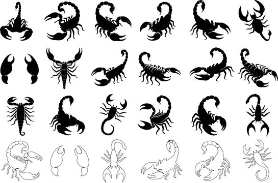 Scorpion silhouette set, Scorpion vector collection on white. detailed Scorpions line illustrations, various poses, styles. Perfect for tattoos, logos, icons