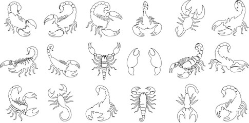 Scorpion outline vector illustrations. Detailed Scorpion line art, various arthropods