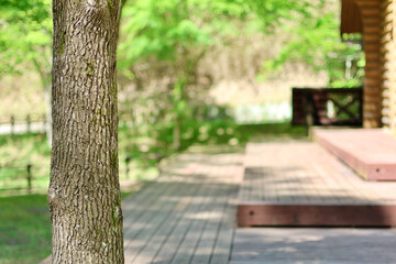 Naklejka premium 新緑の森とログハウス ウッドデッキと木漏れ日 さわやかな季節